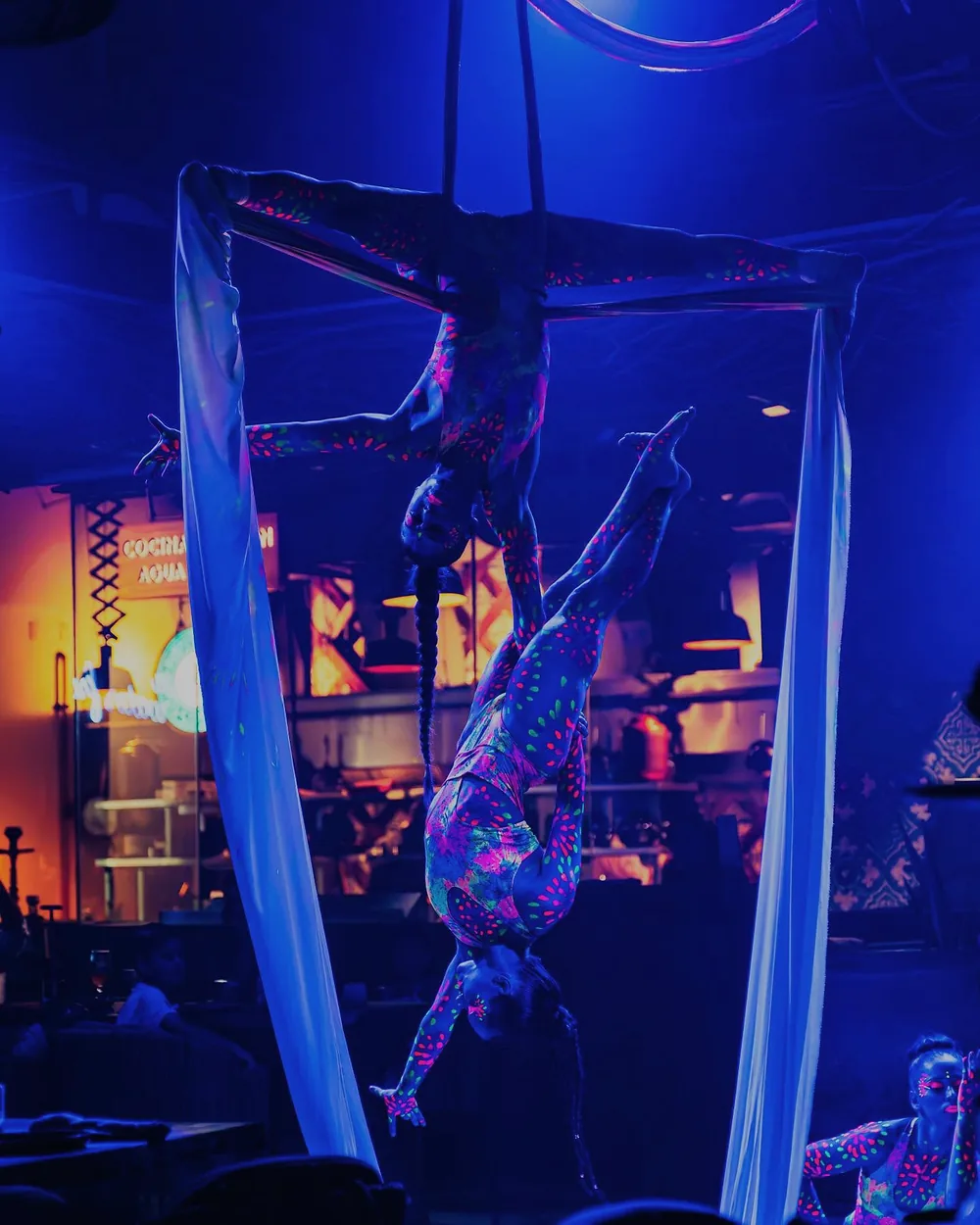 Two aerial silk acrobats with body paint under ultraviolet light